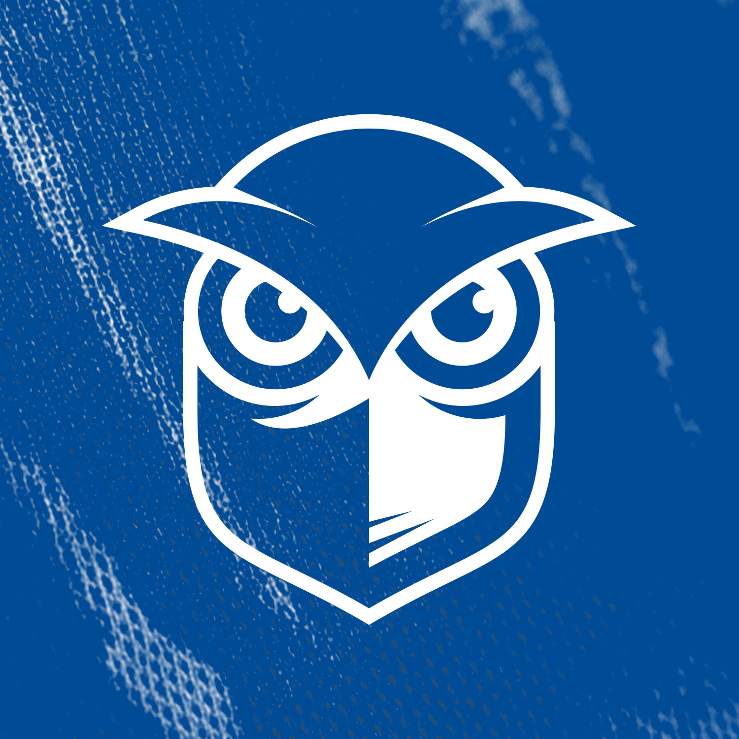 Logo Oldham City